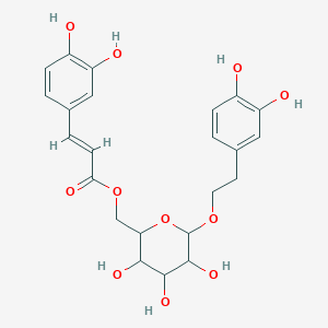 molecular formula C23H26O11 B8209475 [6-[2-(3,4-dihydroxyphenyl)ethoxy]-3,4,5-trihydroxyoxan-2-yl]methyl (E)-3-(3,4-dihydroxyphenyl)prop-2-enoate 