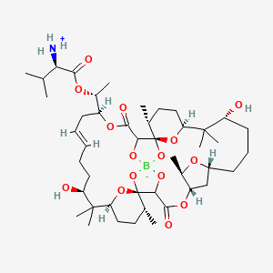 molecular formula C45H74BNO15 B8209567 [(2R)-1-[(1R)-1-[(1R,5S,7Z,11S,13S,16R,17R,24S,25R,27R,31R,33S,36R)-11,31-dihydroxy-12,12,16,25,32,32,36-heptamethyl-3,22-dioxo-4,18,20,23,26,37,38,40,41-nonaoxa-19-boranuidaheptacyclo[17.17.1.11,33.12,19.113,17.124,27.017,21]hentetracont-7-en-5-yl]ethoxy]-3-methyl-1-oxobutan-2-yl]azanium 