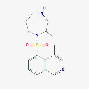 molecular formula C16H21N3O2S B8209608 (S)-(+)-2-Methyl-1-[(4-methyl-5-isoquinolynyl)sulfonyl]homopiperazine 