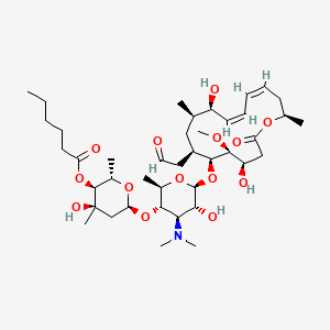 molecular formula C41H69NO14 B8209647 (2S,3S,4R,6S)-6-(((2R,3S,4R,5R,6S)-6-(((4R,5S,6S,7R,9R,10R,11E,13E,16R)-4,10-Dihydroxy-5-methoxy-9,16-dimethyl-2-oxo-7-(2-oxoethyl)oxacyclohexadeca-11,13-dien-6-yl)oxy)-4-(dimethylamino)-5-hydroxy-2-methyltetrahydro-2H-pyran-3-yl)oxy)-4-hydroxy-2,4-dimethyltetrahydro-2H-pyran-3-yl hexanoate 