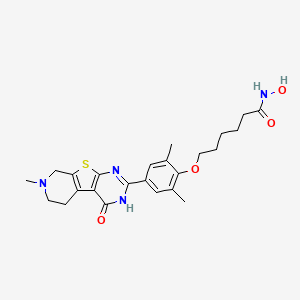 molecular formula C24H30N4O4S B8209925 6-[2,6-dimethyl-4-(11-methyl-3-oxo-8-thia-4,6,11-triazatricyclo[7.4.0.02,7]trideca-1(9),2(7),5-trien-5-yl)phenoxy]-N-hydroxyhexanamide 