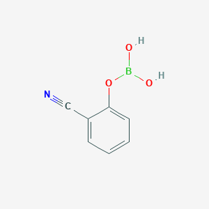 molecular formula C7H6BNO3 B8210281 2-Cyano-phenylboric acid 