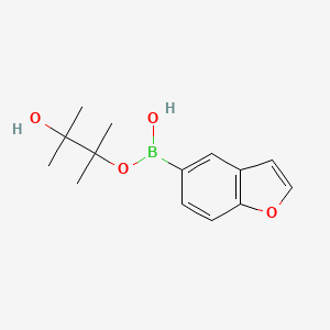 molecular formula C14H19BO4 B8210295 1-Benzofuran-5-yl-(3-hydroxy-2,3-dimethylbutan-2-yl)oxyborinic acid 