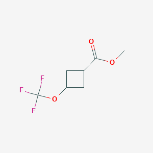 molecular formula C7H9F3O3 B8211072 Methyl 3-(trifluoromethoxy)cyclobutane-1-carboxylate 
