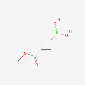 molecular formula C6H11BO4 B8211189 3-Methoxycarbonyl-cyclobutane-boronic acid 