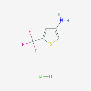 molecular formula C5H5ClF3NS B8211699 5-(Trifluoromethyl)thiophen-3-amine hydrochloride 