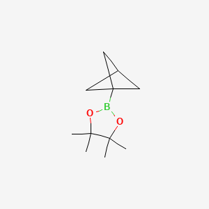 molecular formula C11H19BO2 B8211801 2-{Bicyclo[1.1.1]pentan-1-yl}-4,4,5,5-tetramethyl-1,3,2-dioxaborolane 