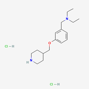 N-ethyl-N-[[3-(piperidin-4-ylmethoxy)phenyl]methyl]ethanamine;dihydrochloride