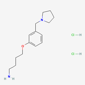 4-[3-(Pyrrolidin-1-ylmethyl)phenoxy]butan-1-amine;dihydrochloride