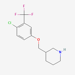3-((4-Chloro-3-(trifluoromethyl)phenoxy)methyl)piperidine
