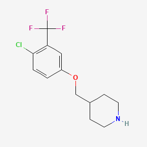 molecular formula C13H15ClF3NO B8213119 4-((4-Chloro-3-(trifluoromethyl)phenoxy)methyl)piperidine 