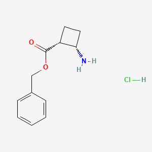 molecular formula C12H16ClNO2 B8215240 Benzyl cis-2-aminocyclobutanecarboxylate hydrochloride 