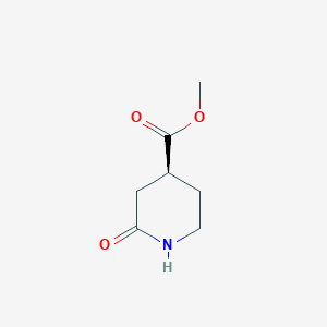 molecular formula C7H11NO3 B8215326 Methyl (4S)-2-oxopiperidine-4-carboxylate 