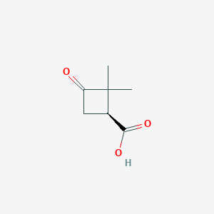 molecular formula C7H10O3 B8215414 (1S)-2,2-dimethyl-3-oxocyclobutane-1-carboxylic acid 