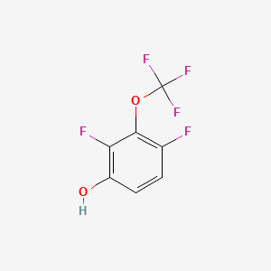 molecular formula C7H3F5O2 B8216038 2,4-Difluoro-3-(trifluoromethoxy)phenol 