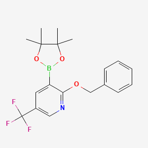 molecular formula C19H21BF3NO3 B8216519 2-(Benzyloxy)-3-(4,4,5,5-tetramethyl-1,3,2-dioxaborolan-2-YL)-5-(trifluoromethyl)pyridine 
