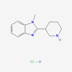 molecular formula C13H18ClN3 B8216731 1-methyl-2-(piperidin-3-yl)-1H-1,3-benzodiazole hydrochloride 