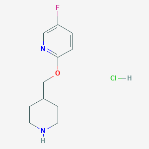 molecular formula C11H16ClFN2O B8216739 5-Fluoro-2-(piperidin-4-ylmethoxy)pyridine hydrochloride 