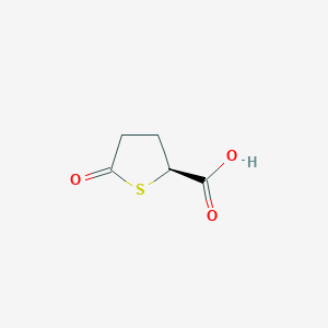 molecular formula C5H6O3S B8217482 (2S)-5-oxothiolane-2-carboxylic acid 