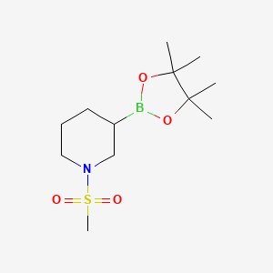 molecular formula C12H24BNO4S B8217703 1-(Methylsulfonyl)-3-(4,4,5,5-tetramethyl-1,3,2-dioxaborolan-2-yl)piperidine 