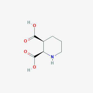 molecular formula C7H11NO4 B8217733 (2R,3S)-rel-piperidine-2,3-dicarboxylic acid 