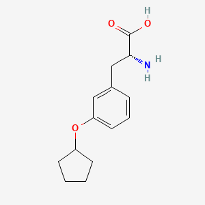 (2R)-2-Amino-3-(3-cyclopentyloxyphenyl)propanoic acid