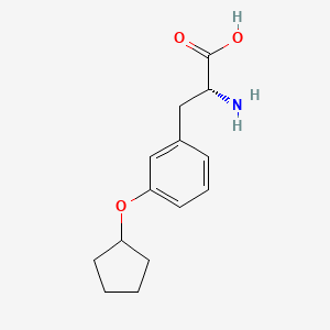 molecular formula C14H19NO3 B8218933 (2R)-2-Amino-3-(3-cyclopentyloxyphenyl)propanoic acid 