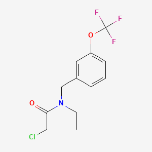 molecular formula C12H13ClF3NO2 B8219206 2-Chloro-N-ethyl-N-(3-(trifluoromethoxy)benzyl)acetamide 