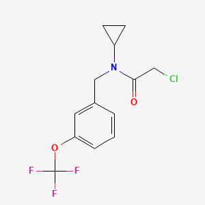 molecular formula C13H13ClF3NO2 B8219211 2-Chloro-N-cyclopropyl-N-(3-(trifluoromethoxy)benzyl)acetamide 