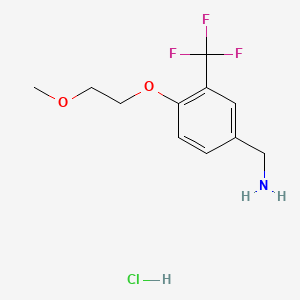 molecular formula C11H15ClF3NO2 B8219709 1-[4-(2-Methoxyethoxy)-3-(trifluoromethyl)phenyl]methanamine hydrochloride 