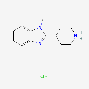 molecular formula C13H18ClN3 B8219772 4-(1-Methyl-1h-benzimidazol-2-yl)piperidinium chloride 