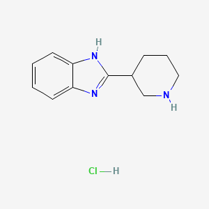 molecular formula C12H16ClN3 B8219773 2-(piperidin-3-yl)-1H-benzo[d]imidazole hydrochloride CAS No. 1185176-25-3