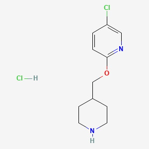 molecular formula C11H16Cl2N2O B8219807 5-Chloro-2-[(piperidin-4-yl)methoxy]pyridine hydrochloride 