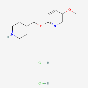 molecular formula C12H20Cl2N2O2 B8219835 5-Methoxy-2-[(piperidin-4-yl)methoxy]pyridine dihydrochloride 