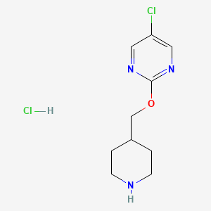 molecular formula C10H15Cl2N3O B8219841 5-Chloro-2-(piperidin-4-ylmethoxy)pyrimidine hydrochloride 