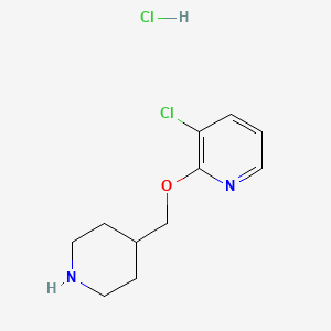 molecular formula C11H16Cl2N2O B8219847 3-Chloro-2-[(piperidin-4-yl)methoxy]pyridine hydrochloride 