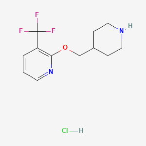 molecular formula C12H16ClF3N2O B8219855 2-[(Piperidin-4-yl)methoxy]-3-(trifluoromethyl)pyridine hydrochloride 