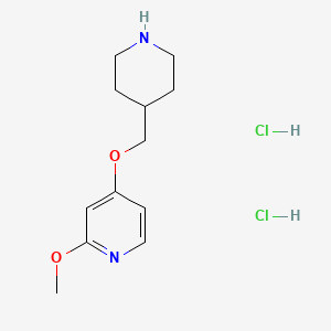 molecular formula C12H20Cl2N2O2 B8219895 2-Methoxy-4-[(piperidin-4-yl)methoxy]pyridine dihydrochloride 