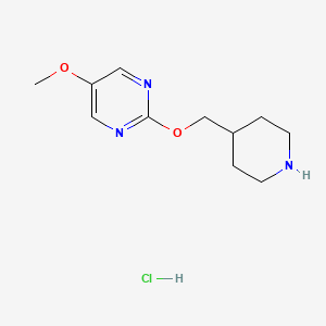 molecular formula C11H18ClN3O2 B8219910 5-Methoxy-2-[(piperidin-4-yl)methoxy]pyrimidine hydrochloride 