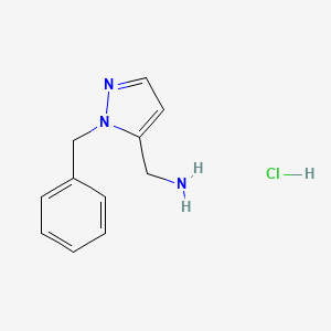 molecular formula C11H14ClN3 B8219990 1-(1-benzyl-1H-pyrazol-5-yl)methanamine hydrochloride 