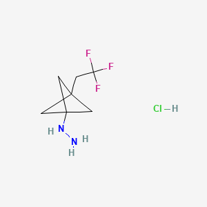 molecular formula C7H12ClF3N2 B8220568 [3-(2,2,2-Trifluoroethyl)-1-bicyclo[1.1.1]pentanyl]hydrazine;hydrochloride 
