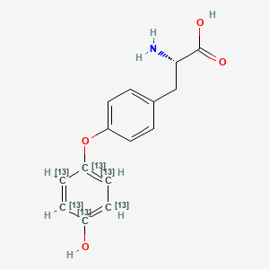 molecular formula C15H15NO4 B8221177 (2S)-2-amino-3-[4-(4-hydroxy(1,2,3,4,5,6-13C6)cyclohexa-1,3,5-trien-1-yl)oxyphenyl]propanoic acid 