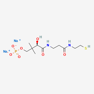 molecular formula C11H21N2Na2O7PS B8221197 disodium;[(3R)-3-hydroxy-2,2-dimethyl-4-oxo-4-[[3-oxo-3-(2-sulfanylethylamino)propyl]amino]butyl] phosphate 