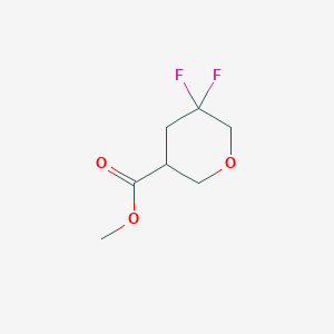 molecular formula C7H10F2O3 B8221776 Methyl 5,5-difluorooxane-3-carboxylate 
