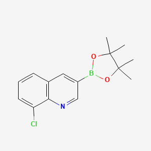 molecular formula C15H17BClNO2 B8223190 8-Chloro-3-(4,4,5,5-tetramethyl-1,3,2-dioxaborolan-2-yl)quinoline 