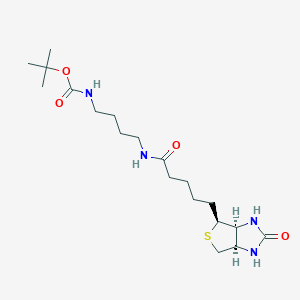 molecular formula C19H34N4O4S B8223236 N-Biotinyl-N'-Boc-1,4-butanediamine 
