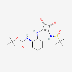 molecular formula C19H31N3O5S B8224092 tert-Butyl ((1R,2R)-2-((2-(((S)-tert-butylsulfinyl)amino)-3,4-dioxocyclobut-1-en-1-yl)amino)cyclohexyl)carbamate 