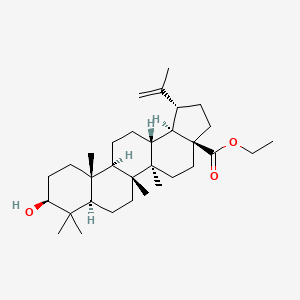molecular formula C32H52O3 B8226247 Ethyl betulinate 