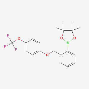 molecular formula C20H22BF3O4 B8227865 4,4,5,5-Tetramethyl-2-(2-((4-(trifluoromethoxy)phenoxy)methyl)phenyl)-1,3,2-dioxaborolane 