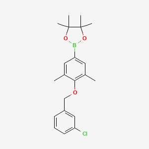 molecular formula C21H26BClO3 B8227957 2-(4-((3-Chlorobenzyl)oxy)-3,5-dimethylphenyl)-4,4,5,5-tetramethyl-1,3,2-dioxaborolane 